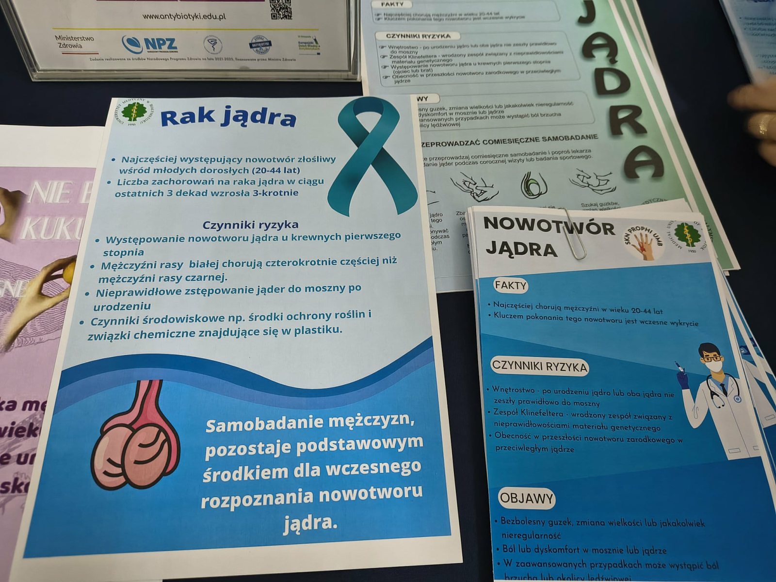 Zdrowy Andrzej, fot. Hanna Kość